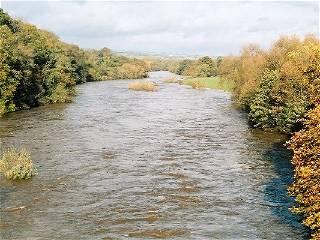 WWF shelved report exposing River Wye pollution ‘to keep Tesco happy’