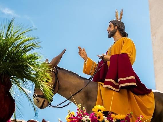 What is Palm Sunday? Why is the donkey important to the story? And how is it celebrated worldwide?