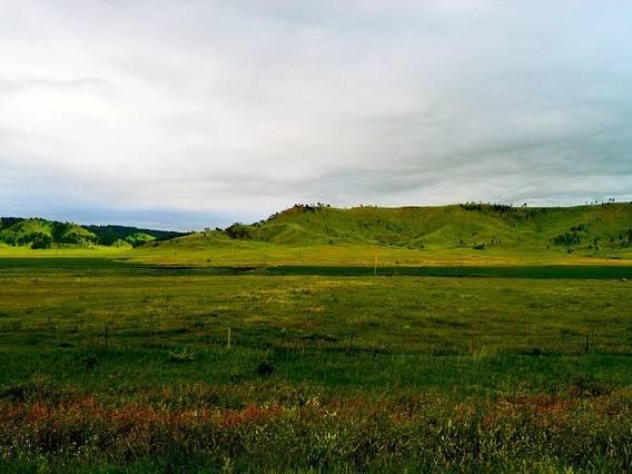 Native American-led nonprofit says it bought 40 acres in the Black Hills of South Dakota