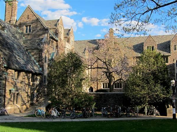 Indian-origin student at Princeton University arrested, barred from campus over anti-Israel protests